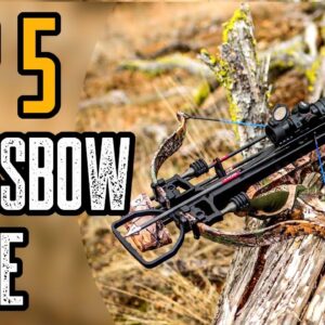 Top 5 Best Crossbow Scopes For The Money