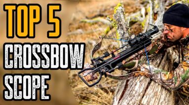 Top 5 Best Crossbow Scopes For The Money