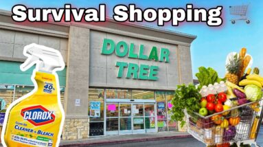 Dollar Tree Survival Shopping - Can It Be Done?