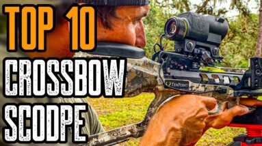 Top 10 Best Crossbow Scopes For The Money