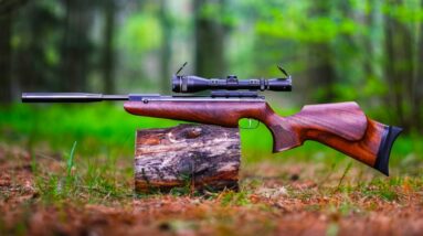 Top 10 Most Powerful Break Barrels Air Rifles