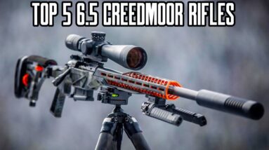 Top 5 Best 6.5 Creedmoor Bolt Action Rifles 2021