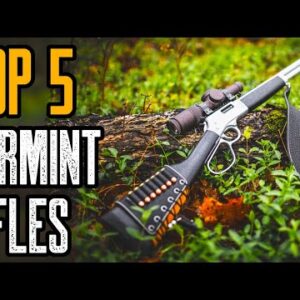 TOP 5 BEST PREDATOR AND VARMINT RIFLES IN THE WORLD