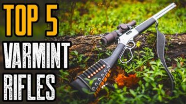 TOP 5 BEST PREDATOR AND VARMINT RIFLES IN THE WORLD