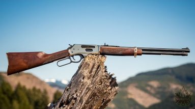 TOP 7 BEST HENRY LEVER ACTION RIFLES EVER MADE 2022